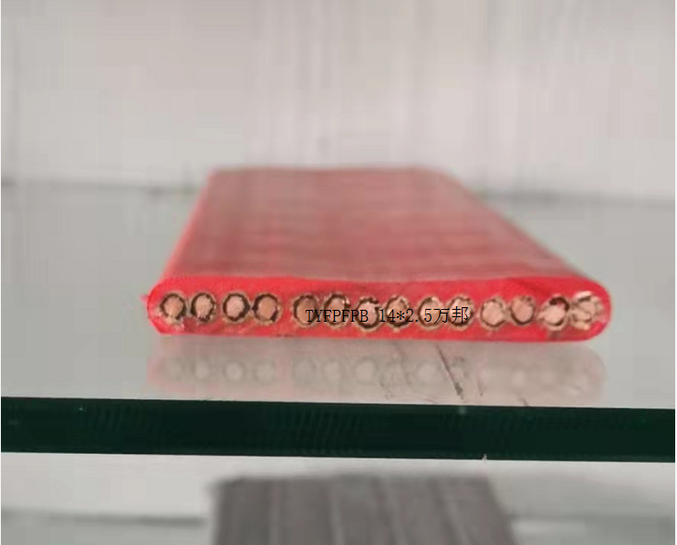 17496065359664.png 1648812516(1).png